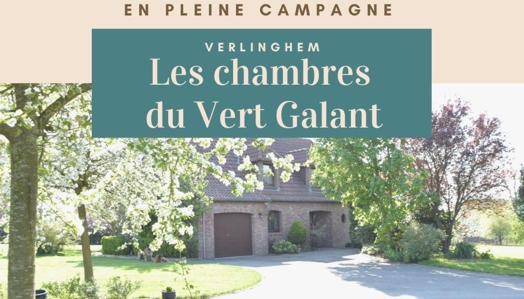 Les Chambres Du Vert Galant "La Campagne Qui Murmure" Verlinghem エクステリア 写真