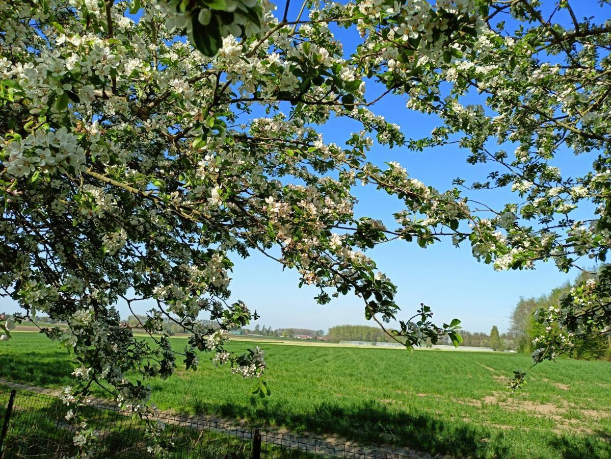 Les Chambres Du Vert Galant "La Campagne Qui Murmure" Verlinghem エクステリア 写真